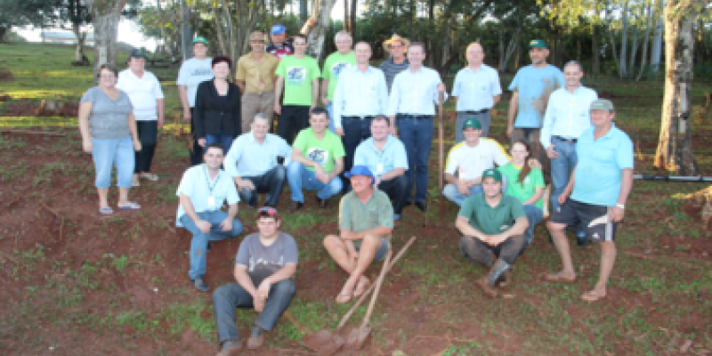 &Aacute;rvores de n&uacute;mero 22.500 e 25.000 s&atilde;o plantadas                               