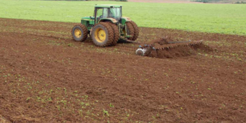 Vazio sanit&aacute;rio da soja come&ccedil;a s&aacute;bado, no Paran&aacute;                              