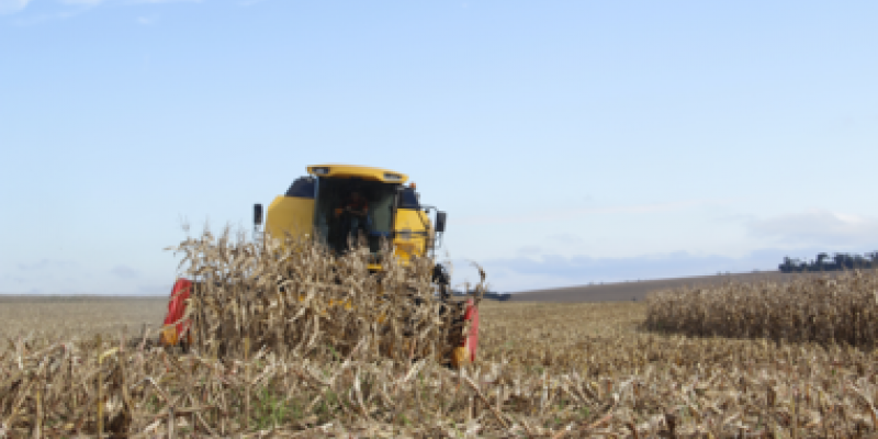 &Aacute;rea t&eacute;cnica recomenda a&ccedil;&otilde;es para uma boa colheita