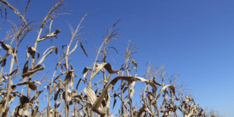 Tecnologia BT, uma nova op&ccedil;&atilde;o