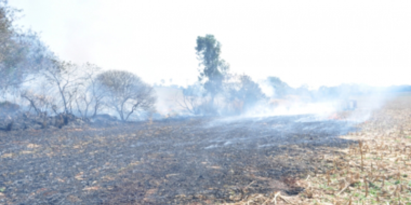 Clima seco, alerta para as queimadas
