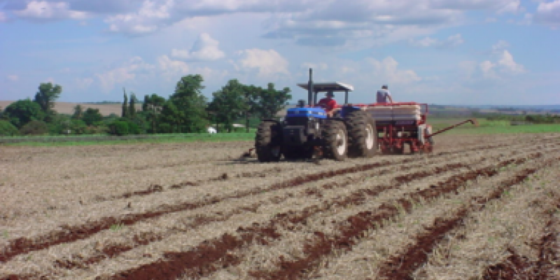 &Aacute;rea t&eacute;cnica orienta sobre o plantio de soja