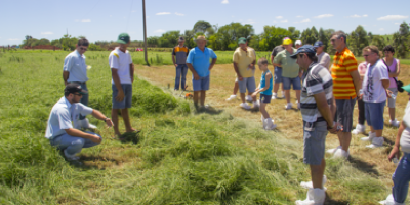 Propriedade leiteira com maior produ&ccedil;&atilde;o por &aacute;rea da Copagril recebe dia de campo