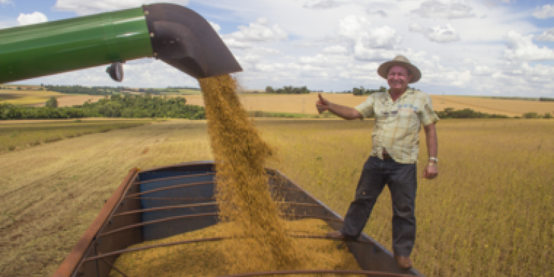 Colheita da soja &eacute; intensificada