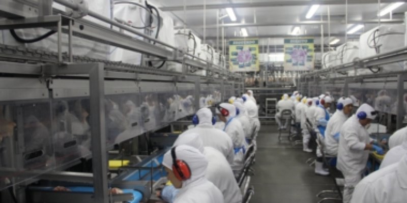  Ap&oacute;s reabilita&ccedil;&atilde;o, Copagril pode voltar a exportar carne de frango para R&uacute;ssia