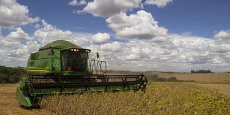 Cuidados pr&eacute;-colheita e plantio safrinha