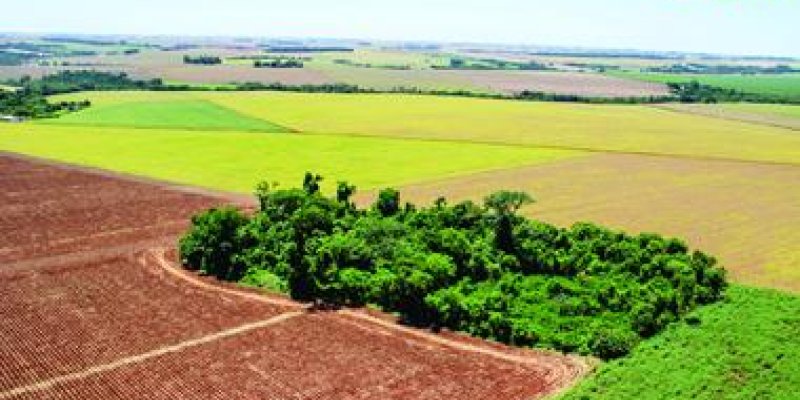 Prazo para Cadastro Ambiental Rural pode ser prorrogado