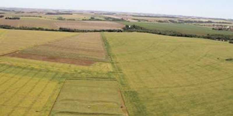 Cadastro Ambiental Rural tem prazo prorrogado por um ano