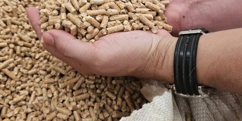 Uso de pellets de madeira em granjas proporciona economia aos produtores rurais