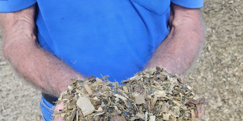 Silagem de qualidade melhora a nutri&ccedil;&atilde;o animal e potencializa a convers&atilde;o em carne e leite