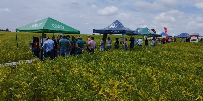 Dia de Campo Copagril re&uacute;ne produtores em Itaquira&iacute;, Mato Grosso do Sul