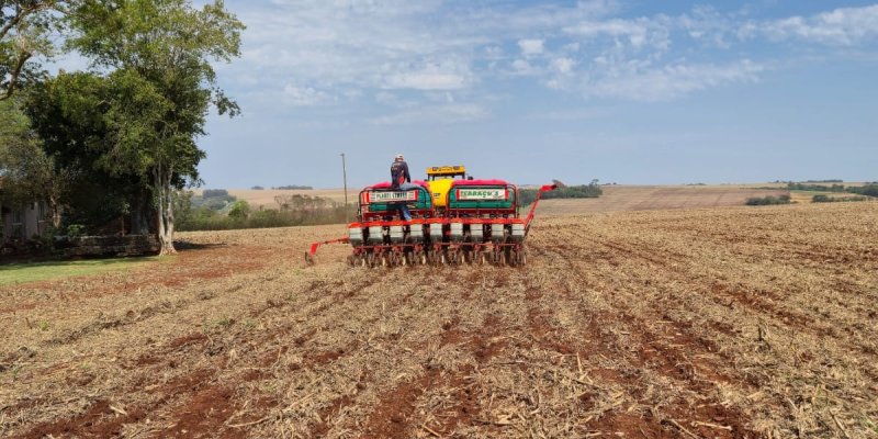 Safra de soja 2026/27 come&ccedil;a com boas perspectivas e aten&ccedil;&atilde;o redobrada ao manejo