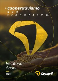 Relat&oacute;rio Anual 2025